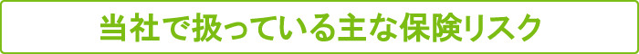 当社で扱っている主な保険リスク